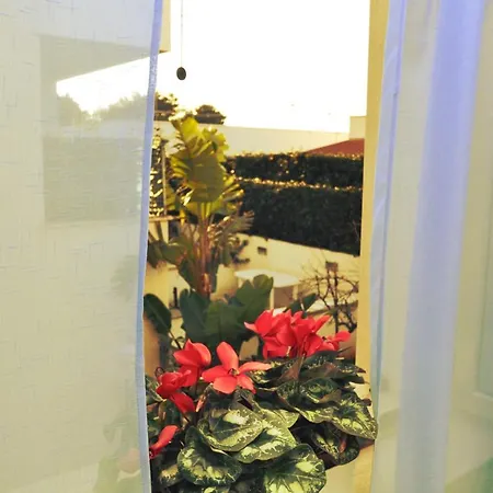 Salentoholidays Casa vacanze